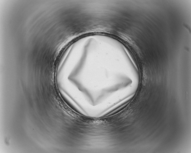 X0000102541316200808291833