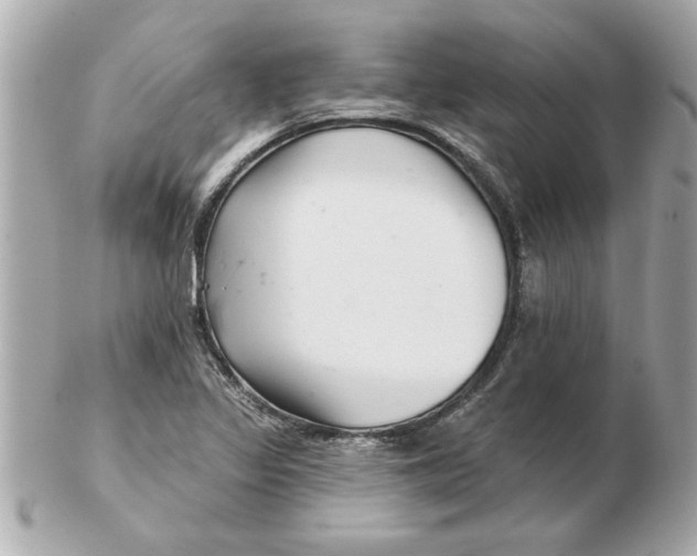 X0000102541317200808291833