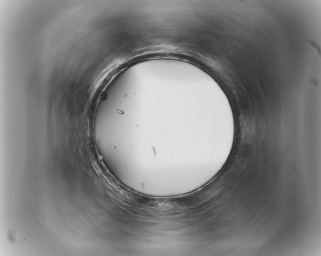 X0000102541318200808291833