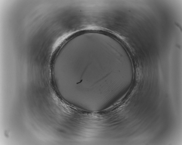 X0000102541319200808291833