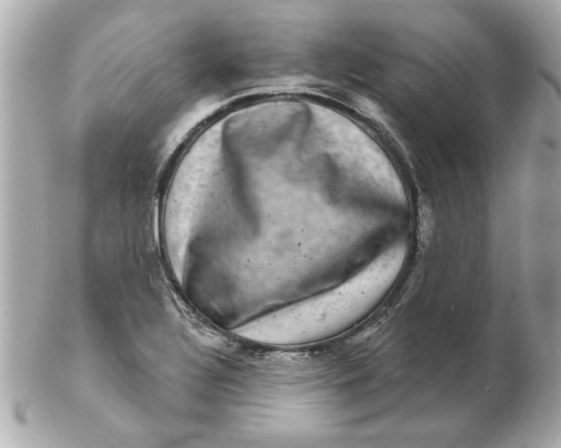 X0000102541320200808291833