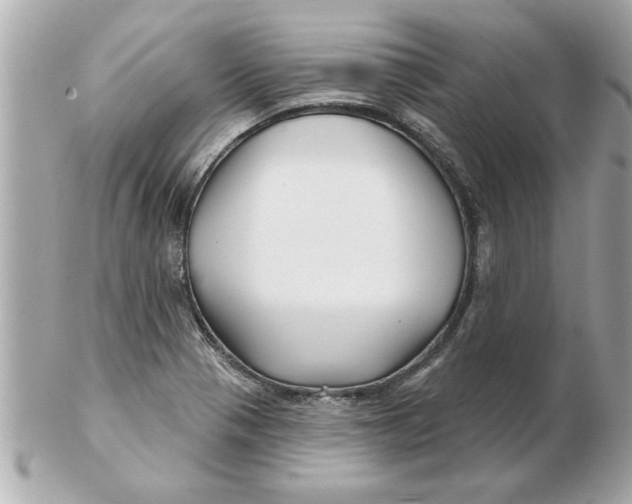 X0000102541321200808291833