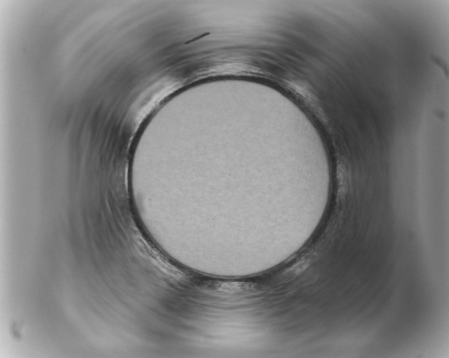 X0000102541322200808291833