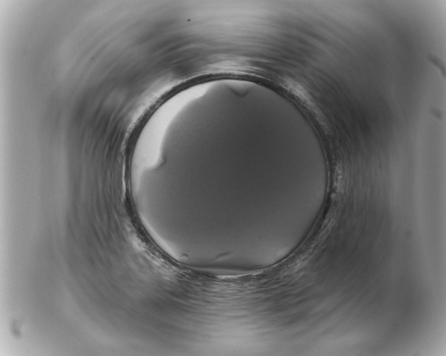 X0000102541323200808291833