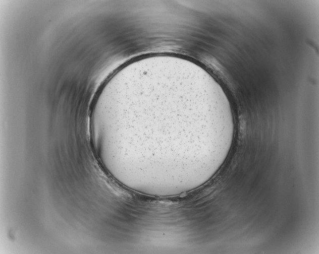 X0000102541324200808291833