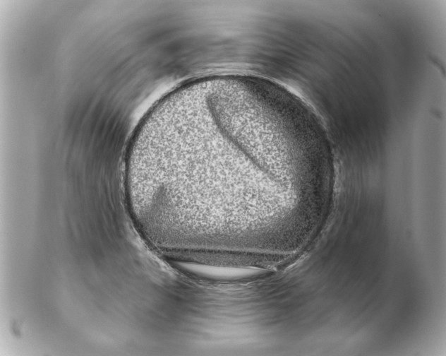 X0000102541325200808291833