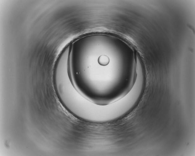 X0000102541326200808291833