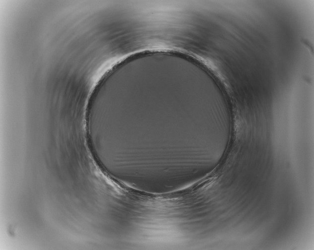 X0000102541327200808291833