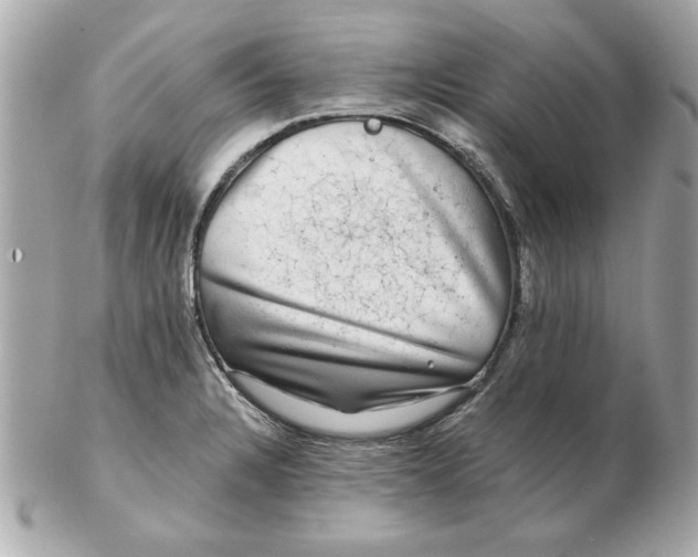 X0000102541328200808291833