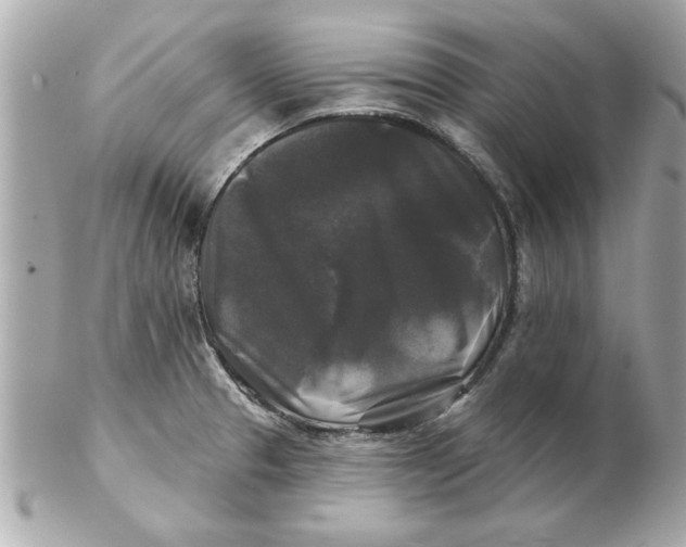 X0000102541329200808291833