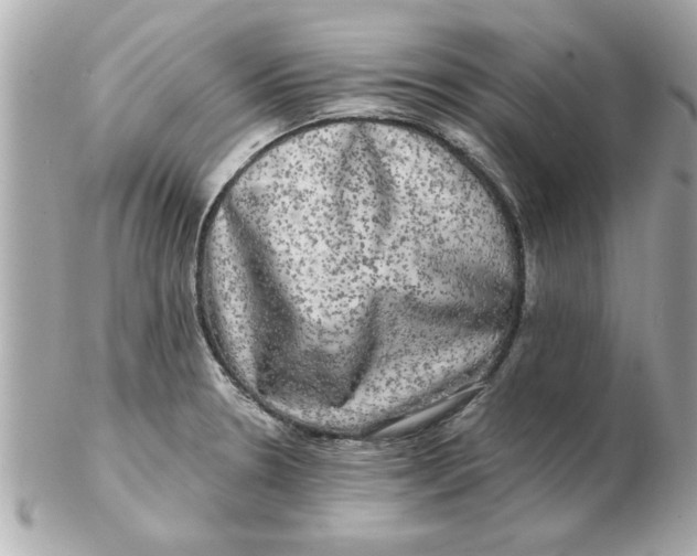 X0000102541330200808291833