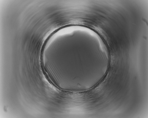 X0000102541331200808291833