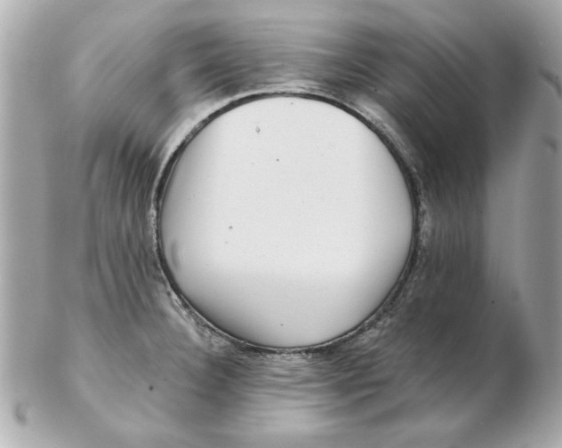 X0000102541332200808291833