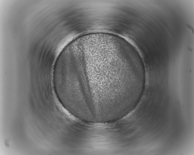 X0000102541333200808291833