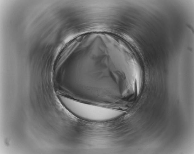 X0000102541334200808291833