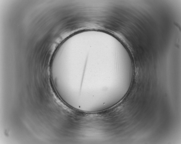 X0000102541335200808291833