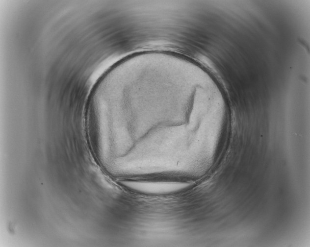 X0000102541336200808291833