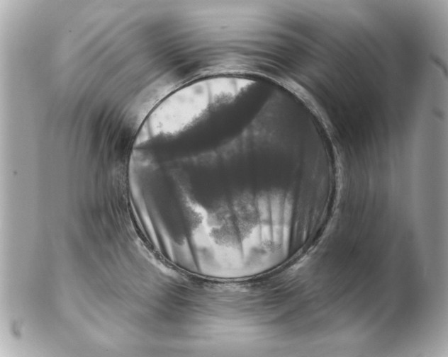 X0000102541337200808291834