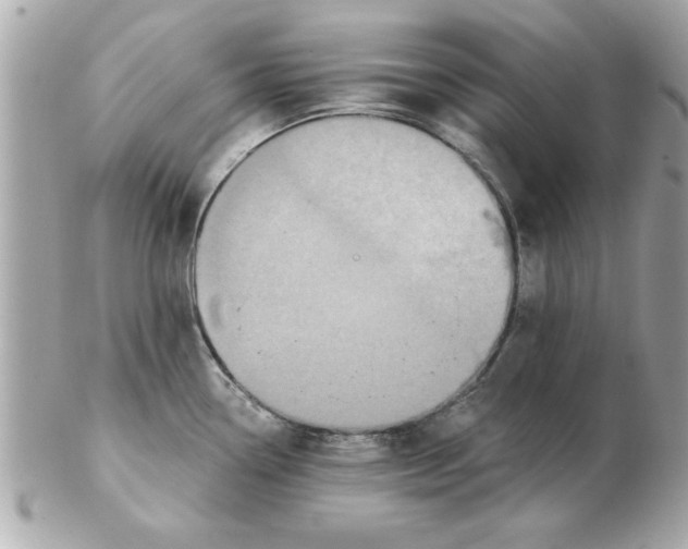 X0000102541338200808291834