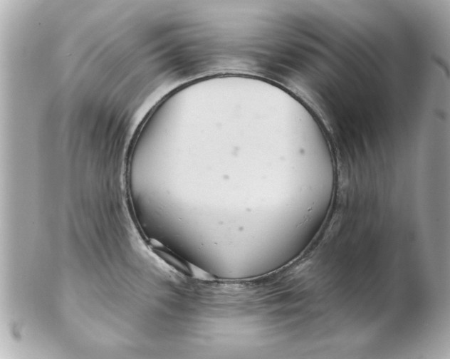 X0000102541339200808291834