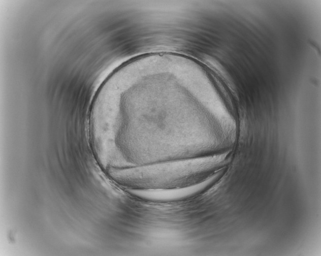 X0000102541340200808291834