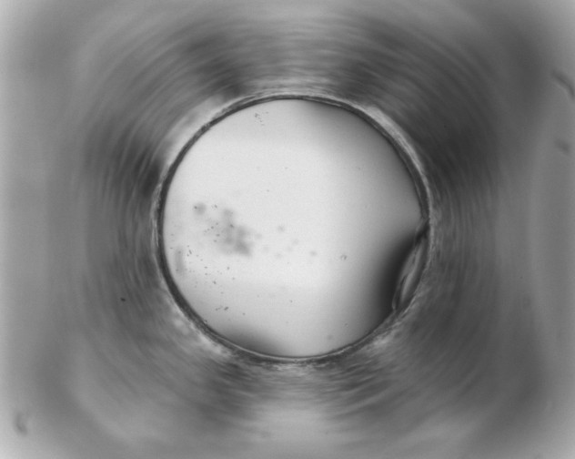 X0000102541341200808291834