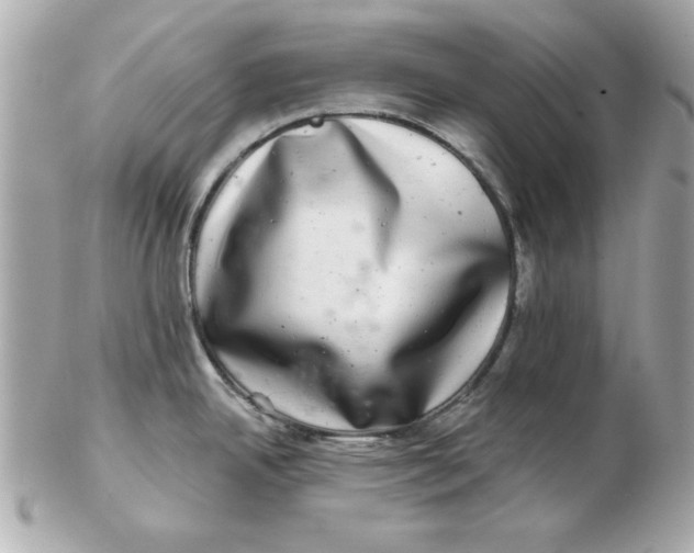 X0000102541342200808291834