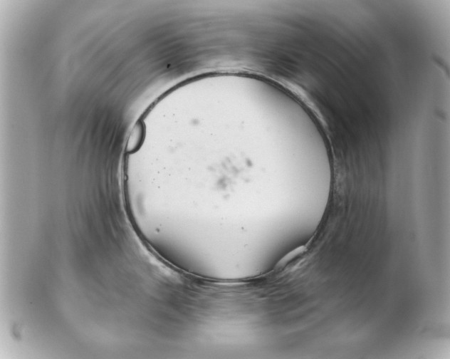 X0000102541343200808291834