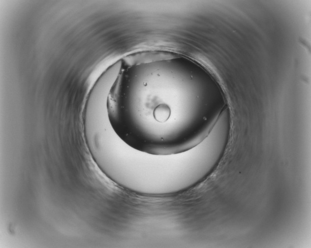 X0000102541344200808291834