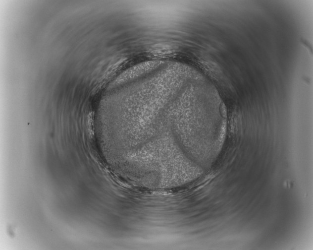 X0000102541346200808291833