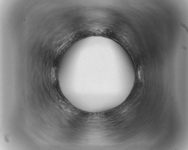 X0000102541347200808291833