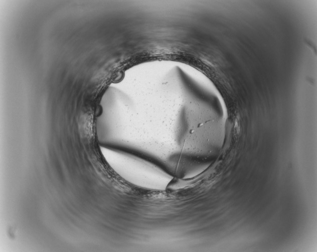 X0000102541348200808291833