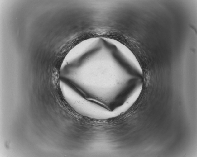 X0000102541349200808291833