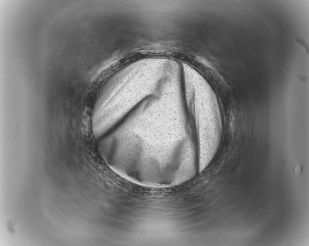 X0000102541350200808291833