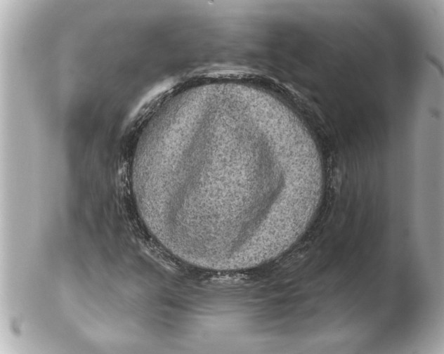 X0000102541351200808291833