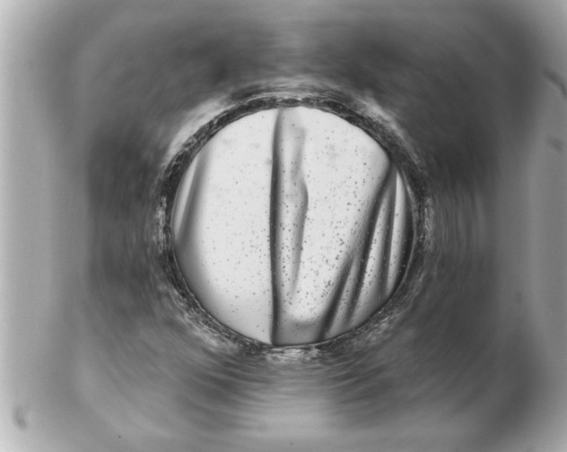 X0000102541352200808291833