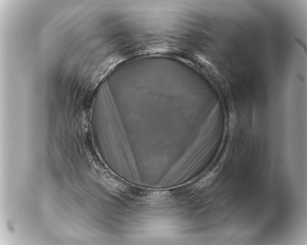 X0000102541353200808291833