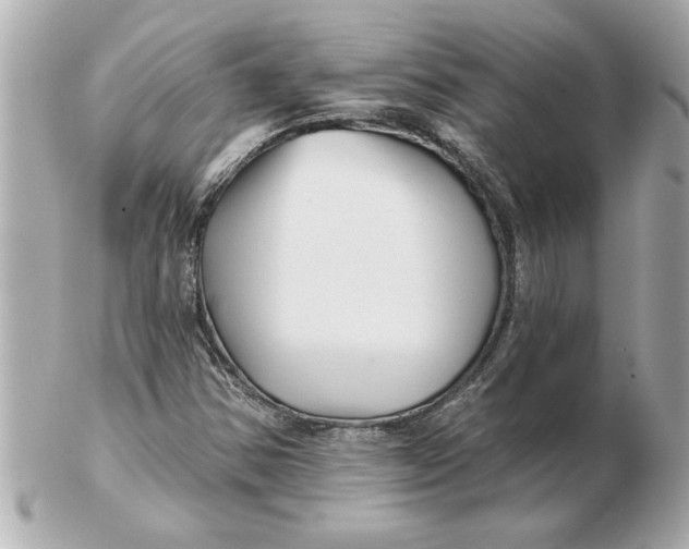 X0000102541354200808291833