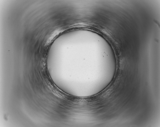 X0000102541355200808291833