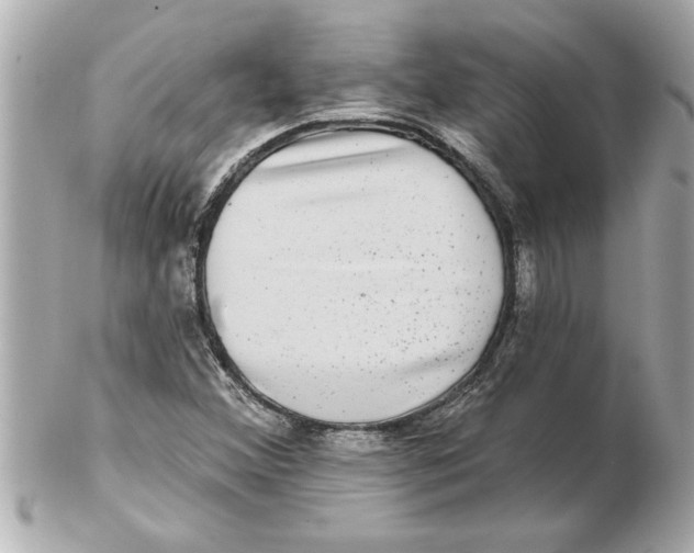 X0000102541356200808291833