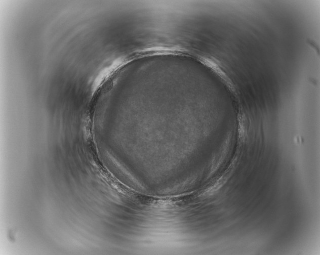 X0000102541357200808291833