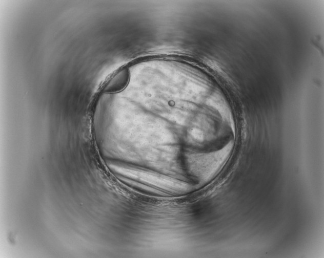 X0000102541358200808291833