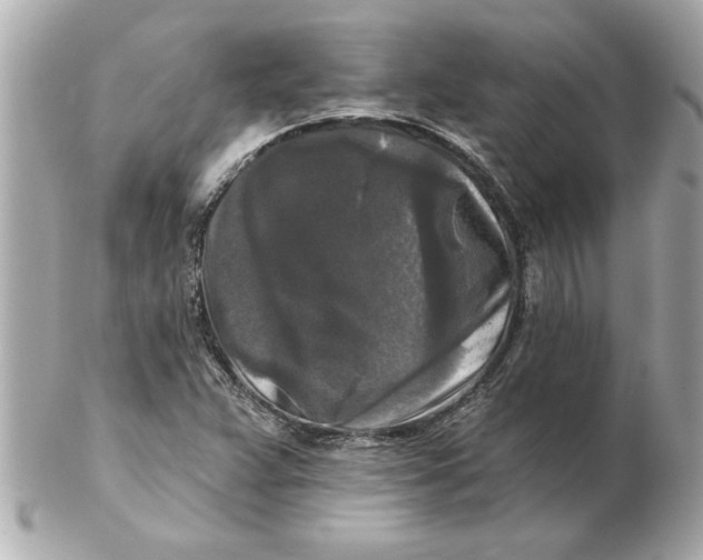 X0000102541359200808291833