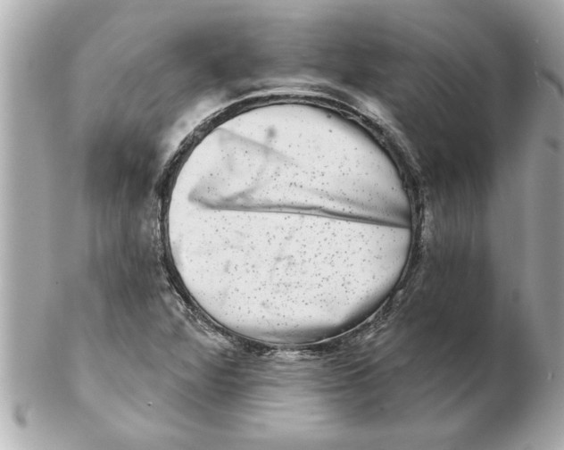 X0000102541360200808291833