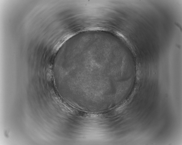 X0000102541361200808291833