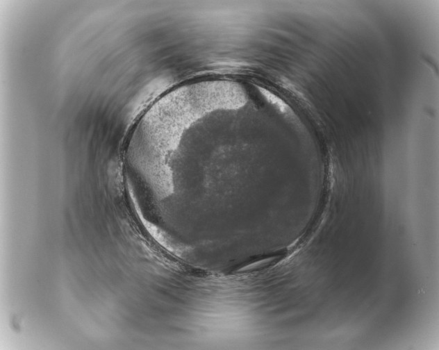 X0000102541362200808291833