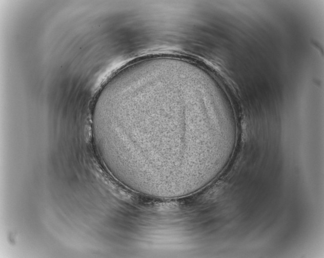 X0000102541363200808291833