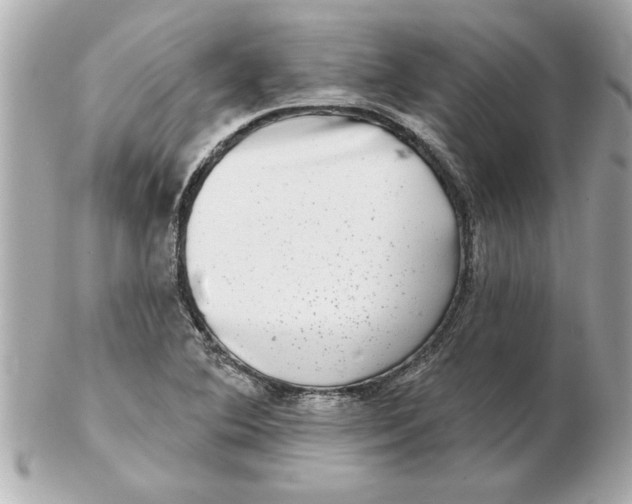 X0000102541364200808291833