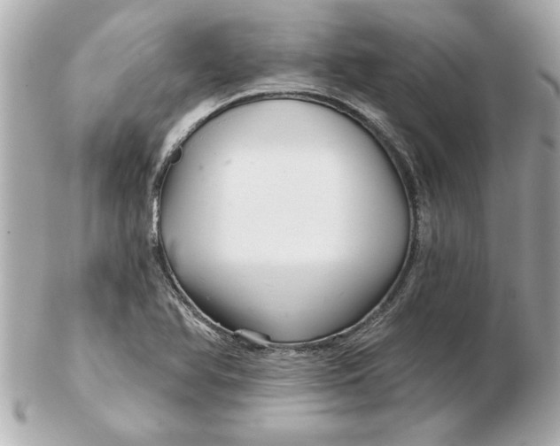 X0000102541366200808291832