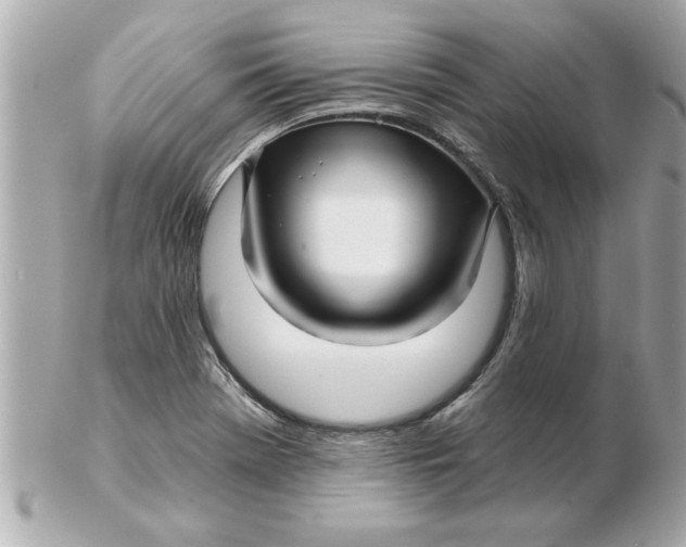 X0000102541369200808291832